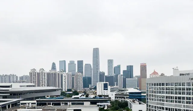 管理软件性能优化与适用场景分析